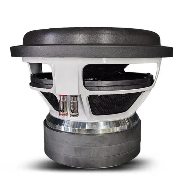 star sound 12″ super bass series subwoofer 16000w price in kenya star sound 12″ super bass series subwoofer 16000w price in kenya